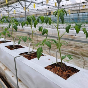 FLAT GROW BAG - Image 3