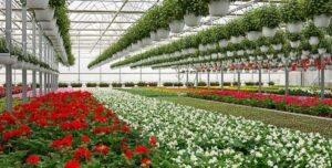 Floriculture House