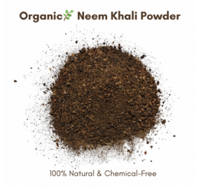 Neem Khali Powder