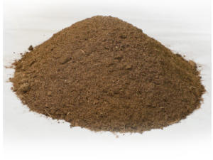 COW DUNG POWDER