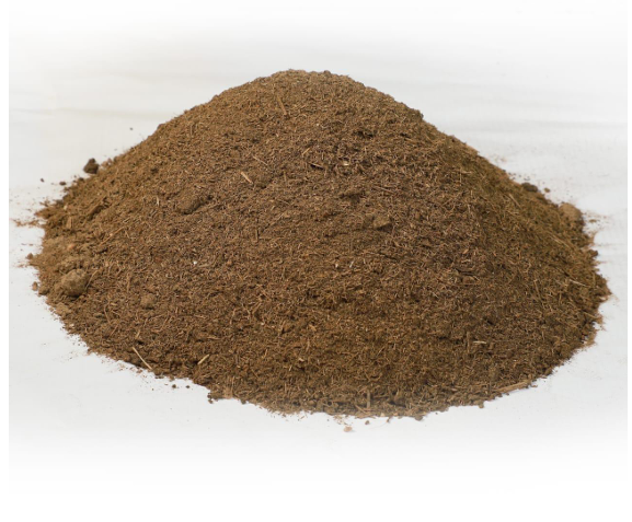 COW DUNG POWDER