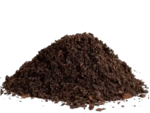 COW DUNG POWDER