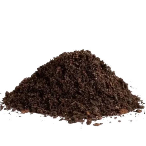s1